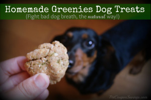 Make Greenies Dog Treats At Home