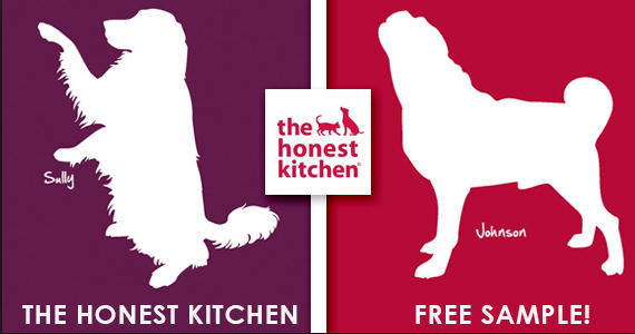 Free Sample The Honest Kitchen Pet Food Pet Coupon Savings