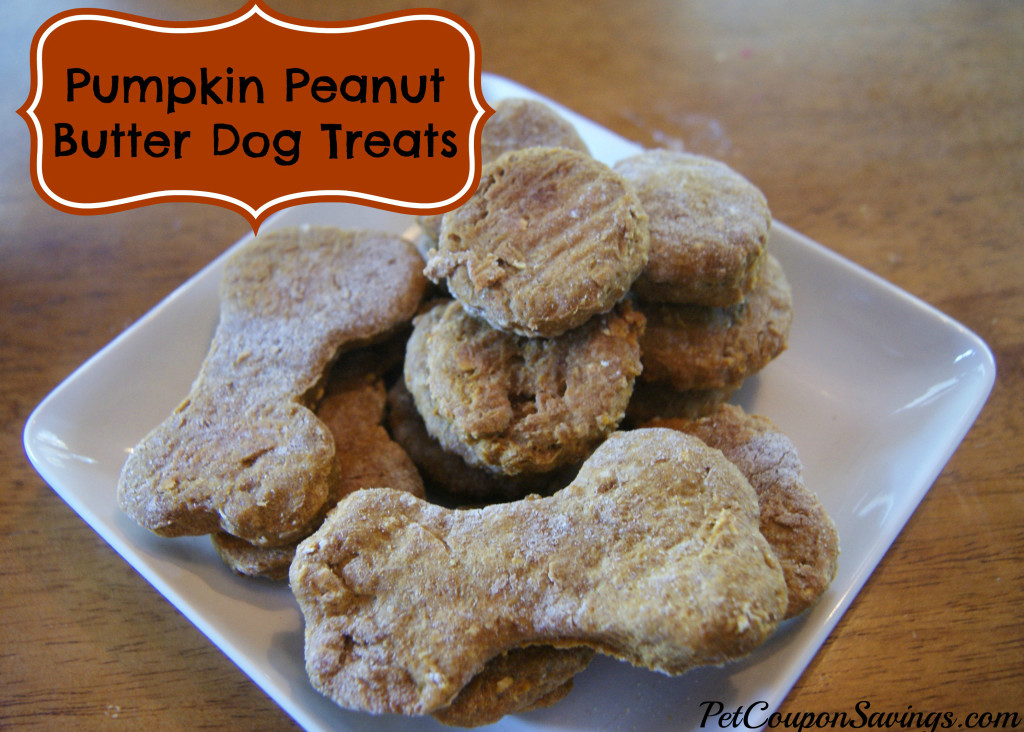 pumpkin-peanut-butter-dog-treats-healthy-treats-for-your-best-friend