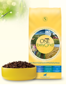 Purina ONE BeyOnd Dog and Cat Food Coupons - Pet Coupon Savings
