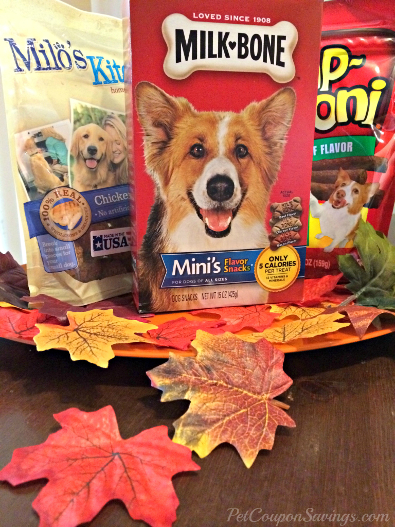 diy thanksgiving doggy treat bags   free treat giveaway!