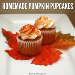 Homemade Pumpkin Pupcakes