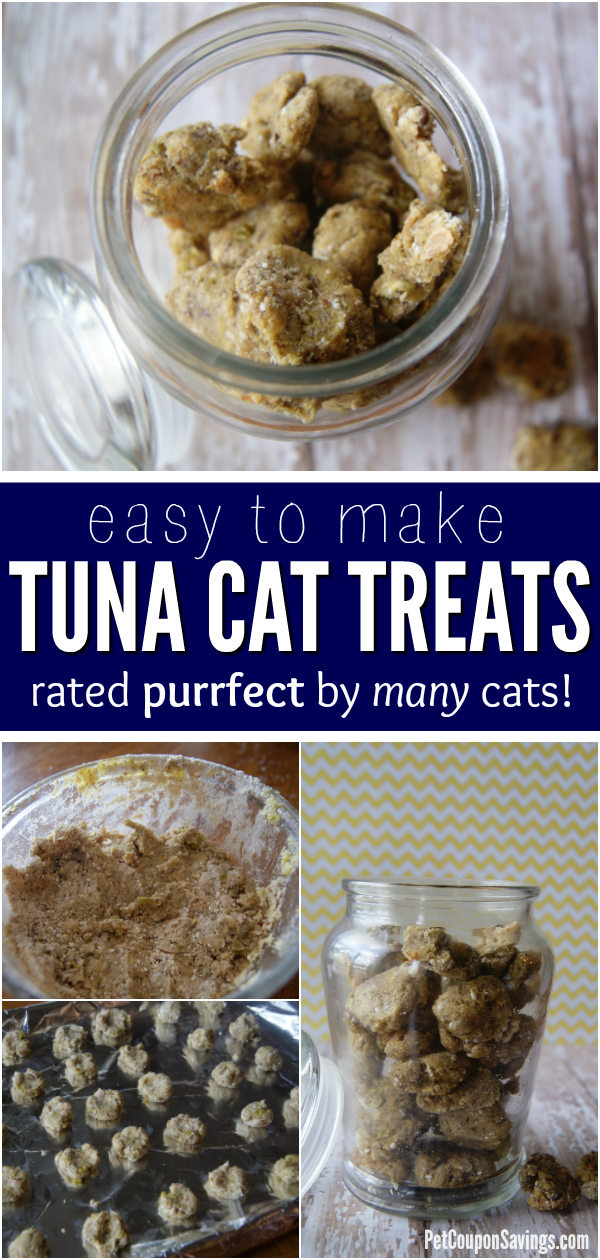 homemade tuna cat treats