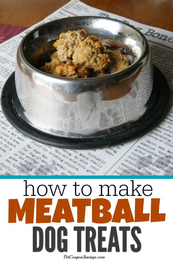 Turkey Meatball Dog Treats