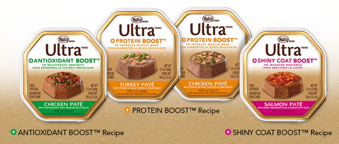 Nutro dog outlet food coupons printable