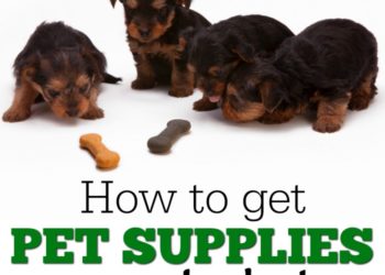 cheap pet supplies