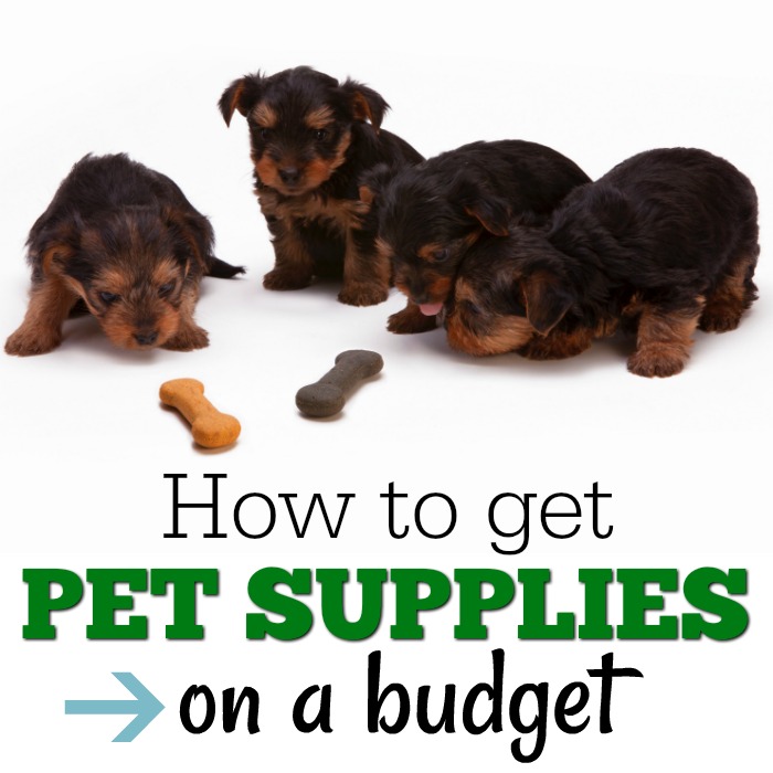 Pet Supplies On A Budget Pet Coupon Savings