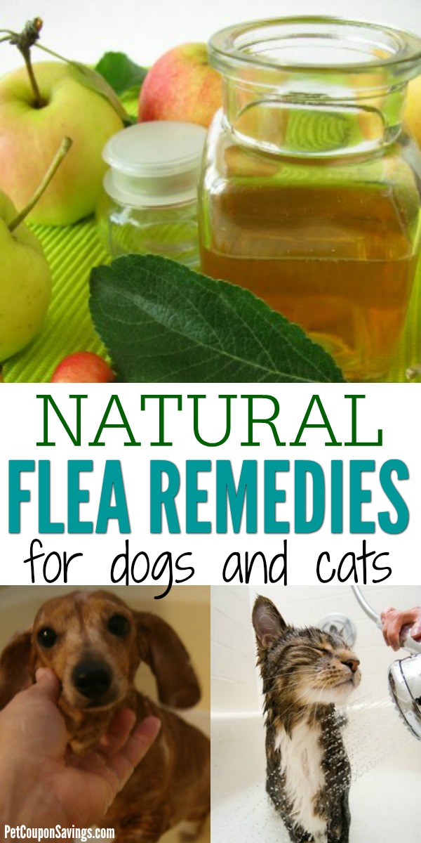 11 Natural Flea Remedies for Dogs and Cats Pet Coupon