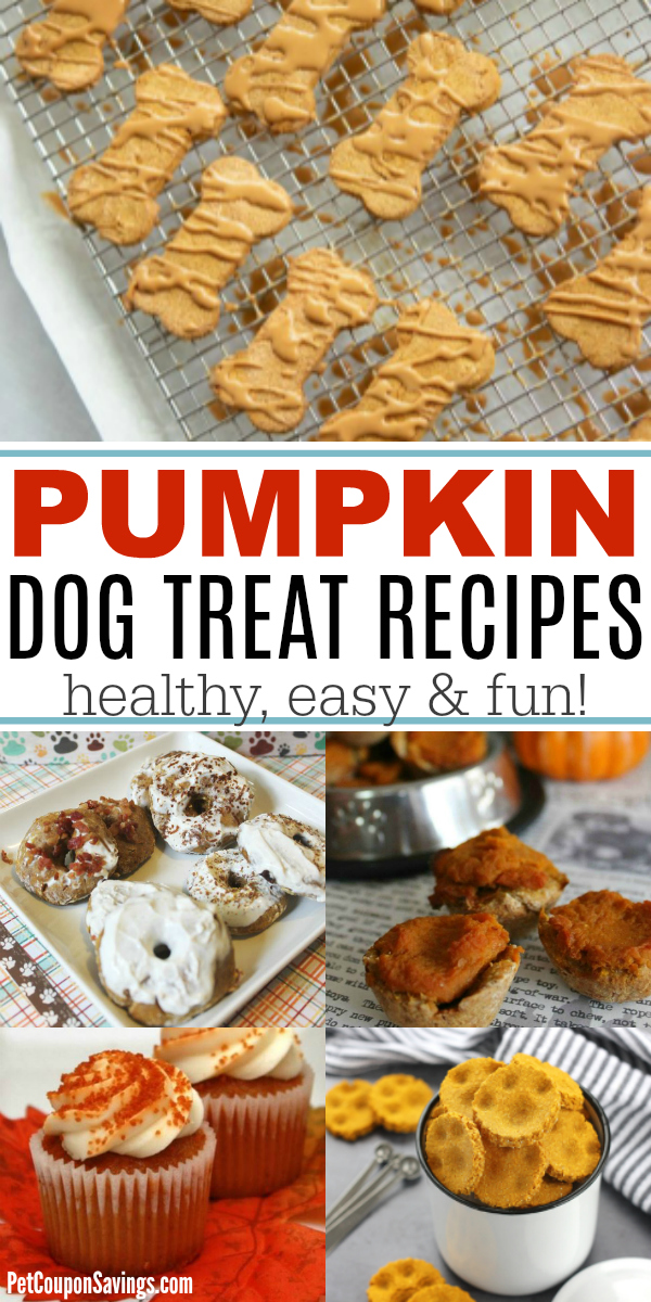 10 Pumpkin Dog Treats Recipes for Fall - Pet Coupon Savings