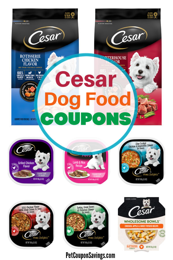 Publix cesar dog outlet food coupon